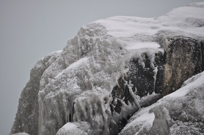 Ice Cap, Lake Forest Beach