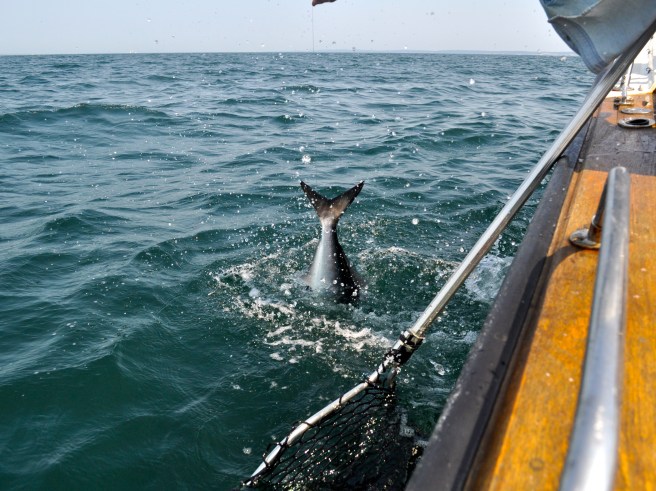 Fishing, summer 2012