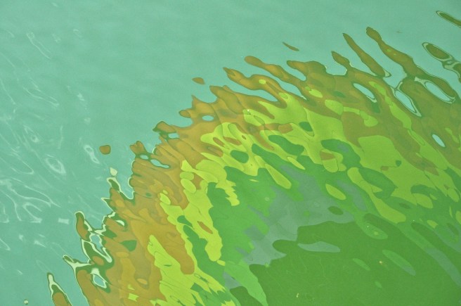 Our balloon's dreamy reflection in the lake.