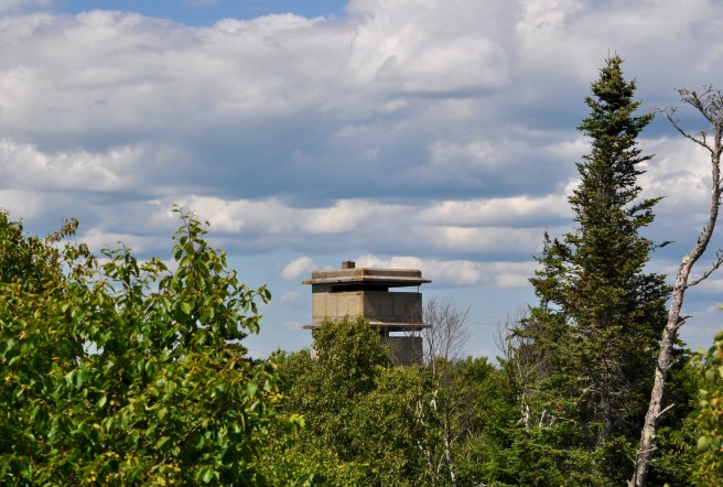 This World War II tower looked like something straight out of The Hunger Games.