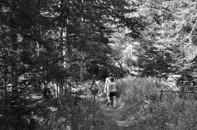 Hannah, Blake and Sasha hiking on Cove Trail.